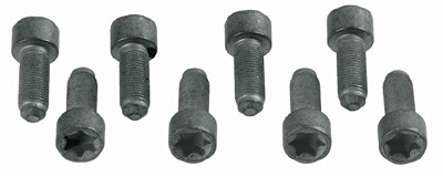 Sachs Schraubensatz, Schwungrad [Hersteller-Nr. 1874000031] für Mercedes-Benz von SACHS