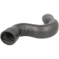 Ladeluftschlauch SASIC 3330038 von Sasic