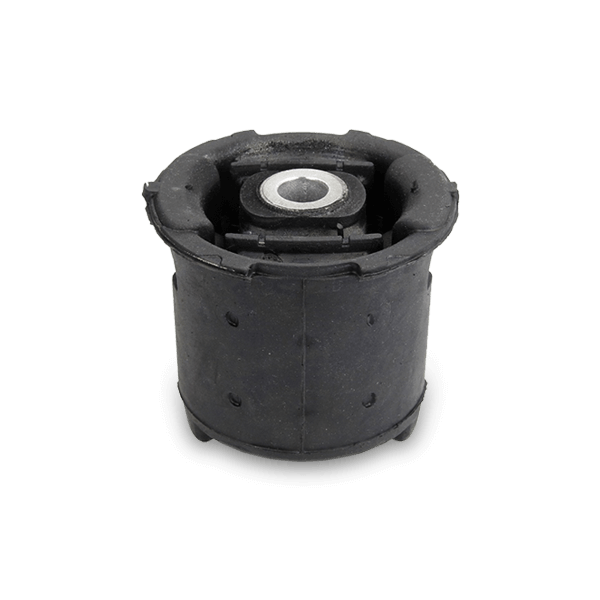 SASIC Achslager RENAULT 2604010 550441331R,550456492R Achskörperlager,Lagerung, Achskörper von SASIC