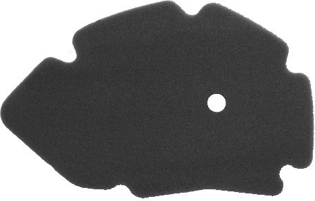 Luftfilter für PIAGGIO X9 125 2001-2002 von SBC