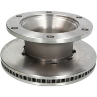 Bremsscheibe SBP 02-RV011, 1 Stück von Sbp