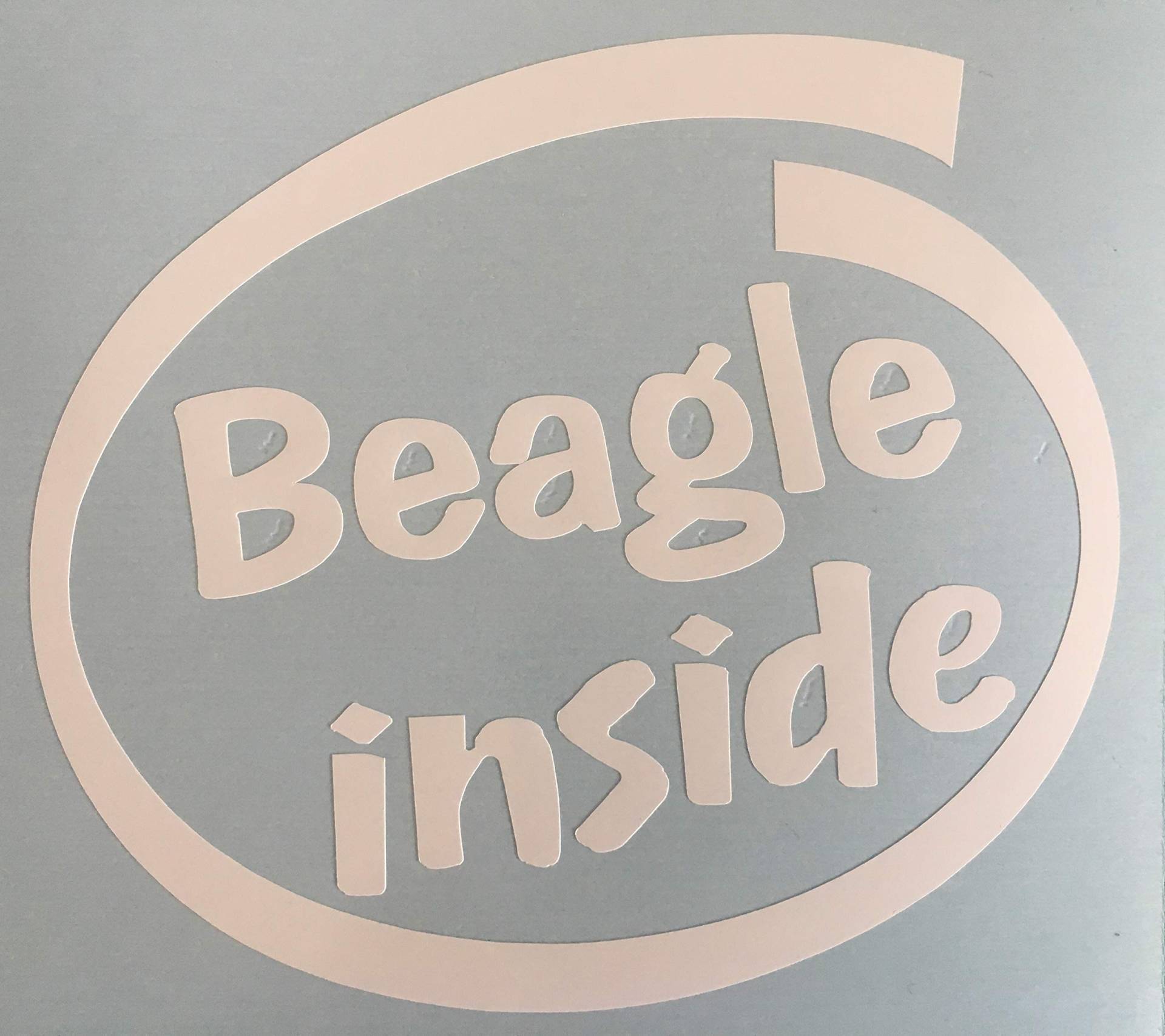 SCOOBY DESIGNS Auto-Fensteraufkleber Beagle Inside von SCOOBY DESIGNS