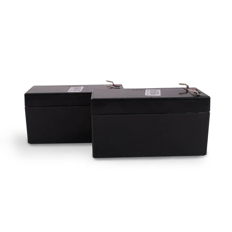 SCS Sentinel - AAM0127 - Set mit 2 Ersatzbatterien - 12 / 24V - 30 CM von SCS Sentinel
