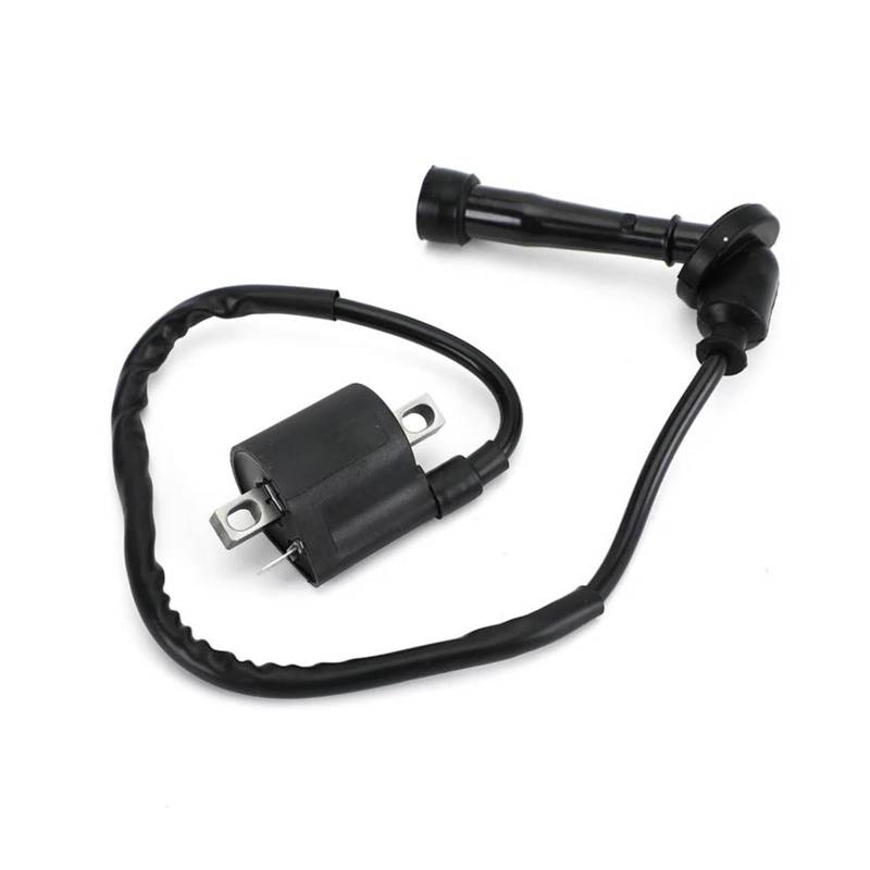 Zündungen Zündspulenmodul Zündspule Für Suzuki 33410-19B10 33410-09F00 33410-24510 33410-09411 von SCUASKJ