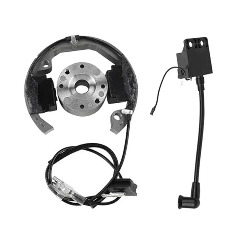 Für SX 50 50Cc Motorrad Innenrotor Zündspule Zündsystem 2001-2013 Zündspulenpaket Zündspulenzubehör Zündkerzenspule von SDCDKLPEPT