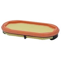 SF-FILTER Luftfiltereinsatz - Sicherung SL 82507 kompatibel mit CF2125/1, PA30119 von SF-FILTER