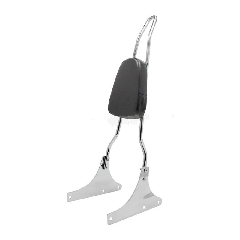 Motorrad-Heckträger Abnehmbare Motorrad-Beifahrerrückenlehne für Sissy Bar für Harley Heritage Softail FXSTC FLSTC Springer FLSTS Fat Boy(2) von SHENHUO