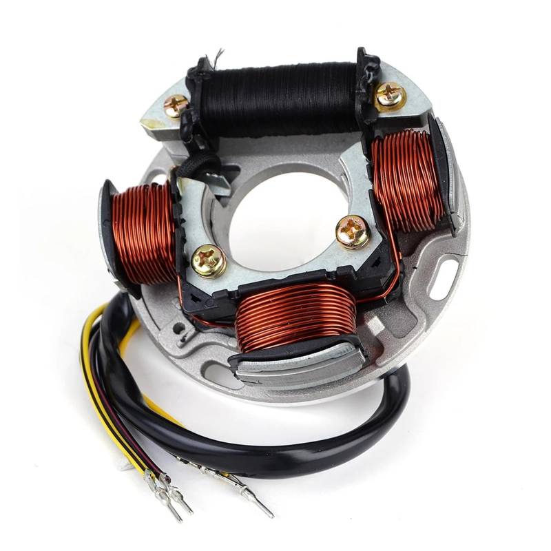 Generator-Statorspule, kompatibel mit Sea-DOO HX SP SPI SPX GS GSI GTS GTI LE Explorer Speedster SK Challenger Sportster LT 1800 420886725 von SHOLIRMET