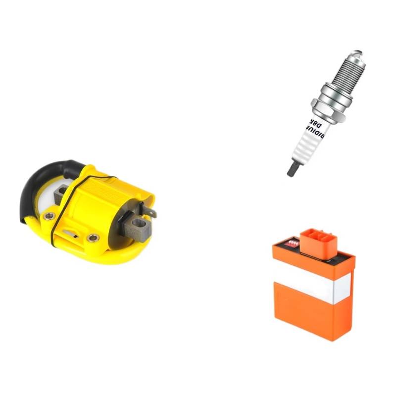 Motorrad Zündungen D8RIV Zündkerze CDI Zündung Set Für ZhongShen NC250 NC300 Motor D8RIV Iridium Zündkerzen Set Off-Road Motorräder Teile Motor Zündspule(CDI Ignition Set) von SIFUSM