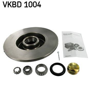 Bremsscheibe Hinterachse SKF VKBD 1004 von SKF