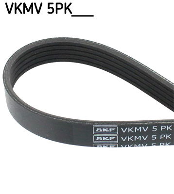 Keilrippenriemen SKF VKMV 5PK1568 Keilrippenriemen SKF VKMV 5PK1568 von SKF