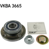 Radlagersatz SKF VKBA 3665 von SKF
