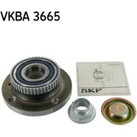 Radlagersatz SKF VKBA 3665 Radlagersatz SKF VKBA 3665 von SKF