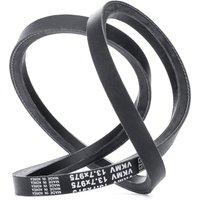 SKF Keilriemen Länge: 975mm VKMV 13.7x975  NISSAN,X-TRAIL (T30),ALMERA II Hatchback (N16),ALMERA TINO (V10),PRIMERA Kombi (WP12),PRIMERA (P12) von SKF