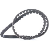 SKF Keilriemen Länge: 710mm VKMV 10AVx710  AUDI,FIAT,PEUGEOT,80 (89, 89Q, 8A, B3),90 (89, 89Q, 8A, B3),CROMA (154),206 Schrägheck (2A/C) von SKF