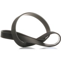 SKF Keilrippenriemen VKMV 6PK966 Rippenriemen FORD,PEUGEOT,TOYOTA,FOCUS III Turnier,MONDEO IV Turnier (BA7),Kuga Mk2 (DM2),S-MAX (WA6),GALAXY (WA6) SKF Keilrippenriemen VKMV 6PK966 Rippenriemen FORD,PEUGEOT,TOYOTA,FOCUS III Turnier,MONDEO IV Turnier (BA7),Kuga Mk2 (DM2),S-MAX (WA6),GALAXY (WA6) von SKF