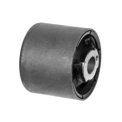 SKF Lagerung, Achskörper SKF Lagerung, Achskörper von SKF