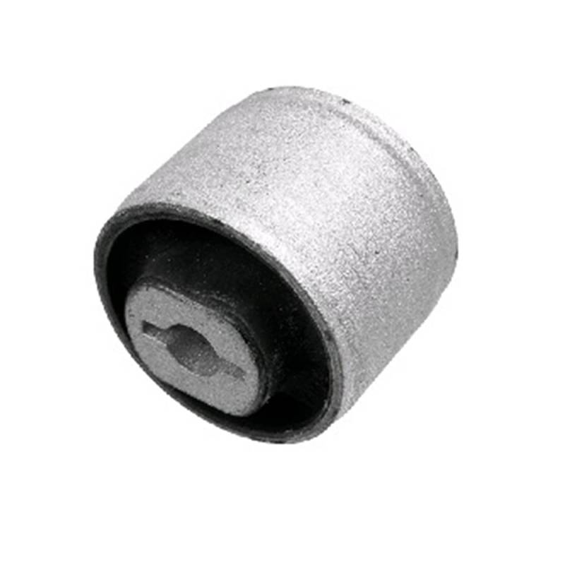 SKF VKDS 436009 Lagerung Lenker Querlenkerlager Hinten beidseitig, unten von SKF