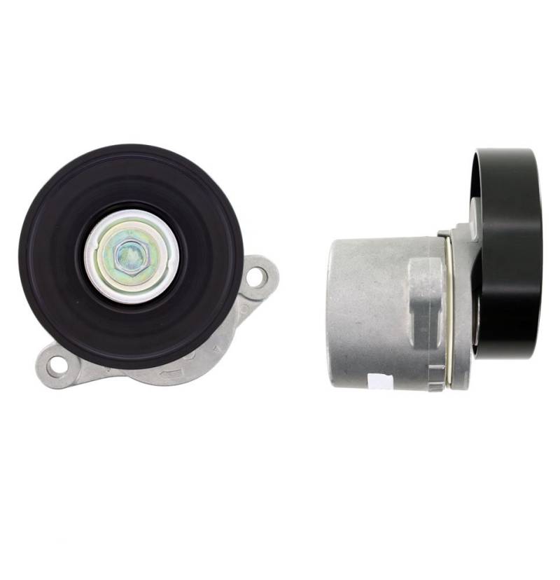 SKF VKM 66005 Spannrollensatz für Nebentrieb SKF VKM 66005 Spannrollensatz für Nebentrieb von SKF