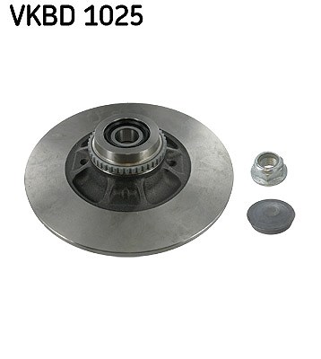 Skf 1x Bremsscheibe [Hersteller-Nr. VKBD1025] für Renault von SKF