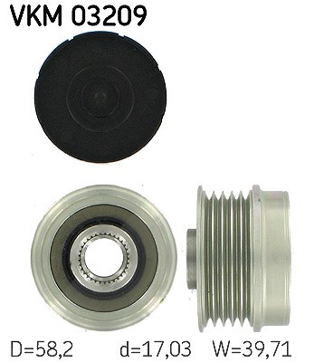 Skf Generatorfreilauf [Hersteller-Nr. VKM03209] für Abarth, Alfa Romeo, Chrysler, Fiat, Jeep, Lancia, Opel, Vauxhall von SKF