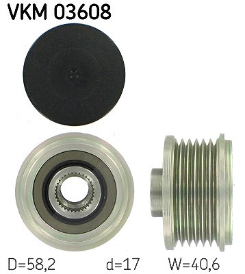 Skf Generatorfreilauf [Hersteller-Nr. VKM03608] für Dacia, Lada, Nissan, Renault von SKF