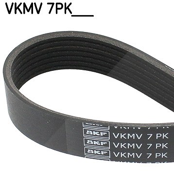 Skf Keilrippenriemen [Hersteller-Nr. VKMV7PK1580] für BMW, Land Rover von SKF