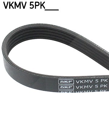 Skf Keilrippenriemen [Hersteller-Nr. VKMV5PK1065] für Audi, Fiat, Mitsubishi, VW von SKF