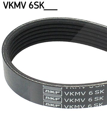 Skf Keilrippenriemen [Hersteller-Nr. VKMV6SK1030] für Ford von SKF
