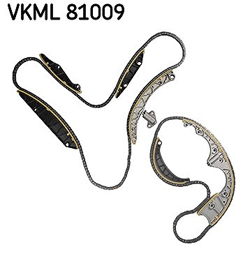 Skf Steuerkettensatz [Hersteller-Nr. VKML81009] für Audi von SKF