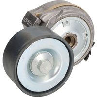 Spannrolle, Keilrippenriemen SKF VKMCV 55004 Spannrolle, Keilrippenriemen SKF VKMCV 55004 von SKF