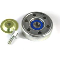 Umlenk-/Führungsrolle, Keilrippenriemen SKF VKM 61018 Umlenk-/Führungsrolle, Keilrippenriemen SKF VKM 61018 von SKF