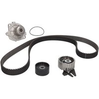 Wasserpumpe + Zahnriemensatz SKF VKMC 02194 Wasserpumpe + Zahnriemensatz SKF VKMC 02194 von SKF