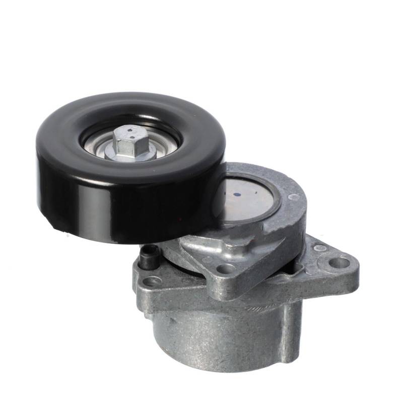 Spannrolle Riemenspanner Passend Für Nissan Murano Z50 Z51 X-TRAIL T30 T31 Passend Für Primera P12 Altima 2.0 2.5 OEM 11955-JA00C 11955-6N20B Kettenrollenspanne(X-TRAIL T31) von SLAHAJ