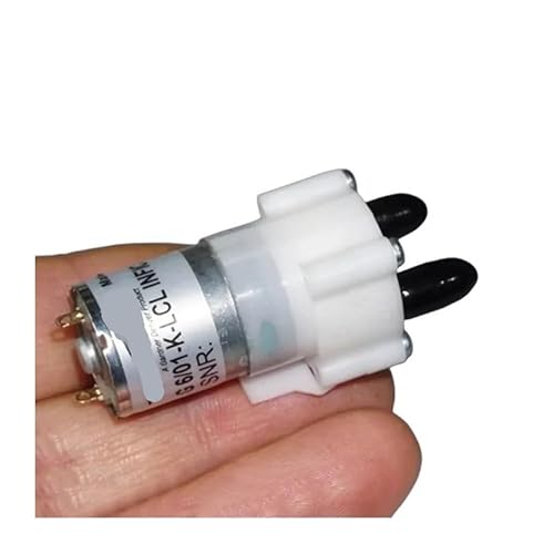 DC 3V 5V 6V Large Flow Rotary Air Pump Small Gas Sampling Air Pump Reversible Direction Motor Starters von SLXWSXZE