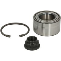 Radlagersatz SNR R169.29 Radlagersatz SNR R169.29 von Snr