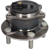 Radlagersatz SNR R170.64 Radlagersatz SNR R170.64 von Snr