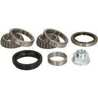 Radlagersatz SNR R184.53 Radlagersatz SNR R184.53 von Snr