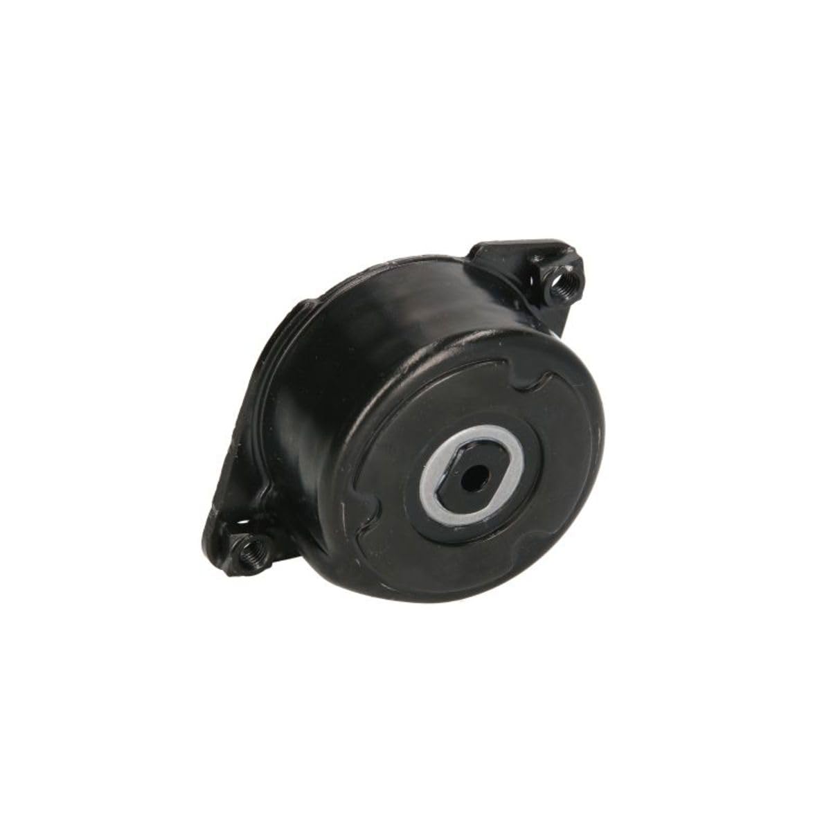 SNR GA350.52 Riemenscheibe tensora, Armband poliert V SNR GA350.52 Riemenscheibe tensora, Armband poliert V von SNR