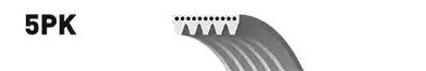 SNR Keilrippenriemen FORD,FIAT,TOYOTA CA5PK1146 46820379,55191970,MB813867 Rippenriemen GFB91150,PQS100940,9S518620BA,FP01159099F,55232449,55249821 SNR Keilrippenriemen FORD,FIAT,TOYOTA CA5PK1146 46820379,55191970,MB813867 Rippenriemen GFB91150,PQS100940,9S518620BA,FP01159099F,55232449,55249821 von SNR