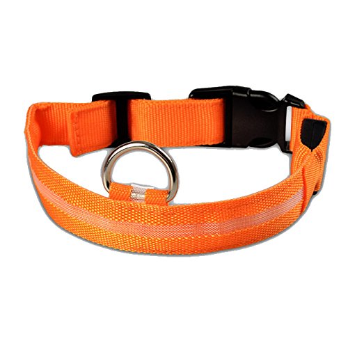 SODIAL(R) LED Nylon Hundehalsband Nacht Sicherheit Blinkend Licht Guertel orange M von SODIAL