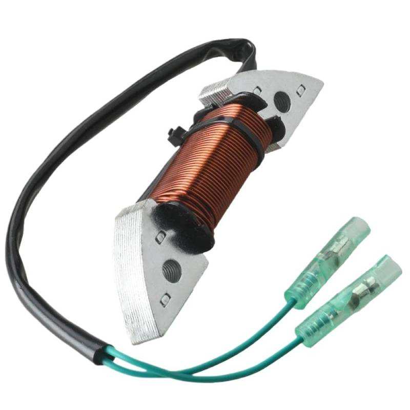 3B2-06123 Lichtmaschine kompatibel mit Außenbordmotor 2-Takt 8 PS 9,8 PS HDX M8 9,8B von SOLFOVUZ