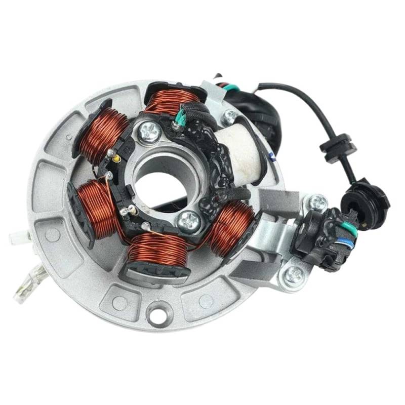 6 Spulenzündungsmagneto Stator kompatibel mit Kayo Apollo SSR SDG BSE CRF TTR KLX LIFAN 140 140CC 1P55FMJ Motor Dirt Bikes von SOLFOVUZ