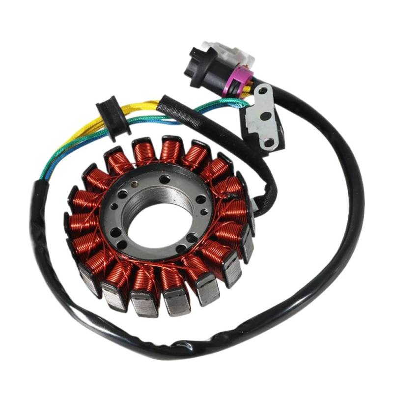 Stator Ignition Coil Compatible With ATV 300B Models 21012060 21012061 LU019987 2.1.01.2061 von SOLFOVUZ