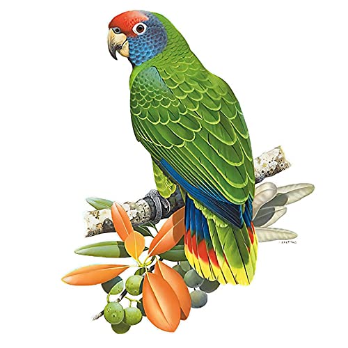 Auto-Aufkleber mit drei handbemalten Papageien als Dekoration für Zuhause, WC-Aufkleber (Farbe: QCF46-18) von SOMEXI