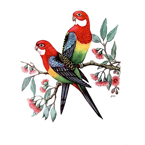 Auto-Aufkleber mit drei handbemalten Papageien als Dekoration für Zuhause, WC-Aufkleber (Farbe: QCF46-8) von SOMEXI