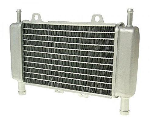 Kühler Radiator Wasserkühler - Gilera Runner (ab 2005) von SP