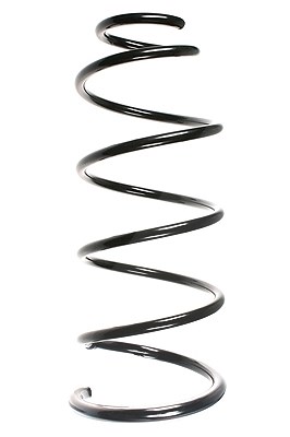 Spidan Fahrwerksfeder [Hersteller-Nr. 56069] für Citroën, Peugeot von SPIDAN