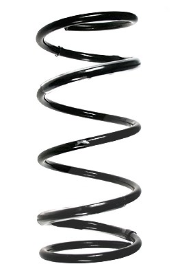 Spidan Fahrwerksfeder [Hersteller-Nr. 56758] für Kia von SPIDAN