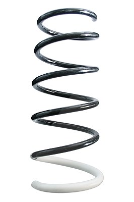 Spidan Fahrwerksfeder [Hersteller-Nr. 87042] für Dacia, Renault von SPIDAN